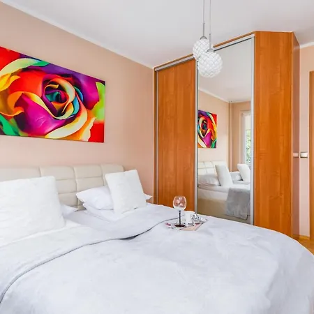 Apartment Rose In By Renters