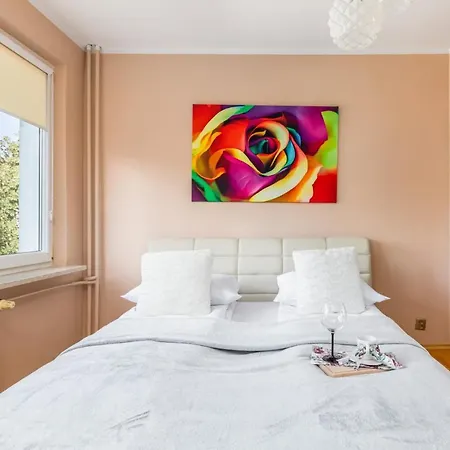 Apartment Rose In By Renters *