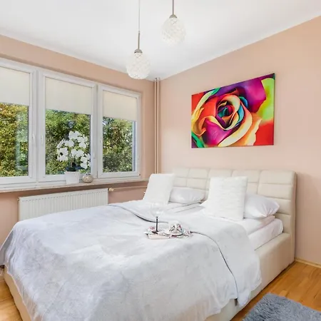 Rose In By Renters