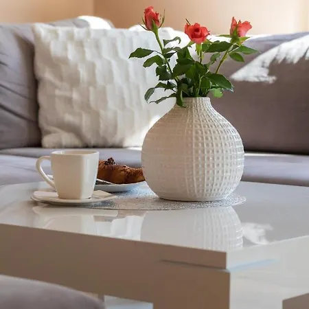 Rose In By Renters